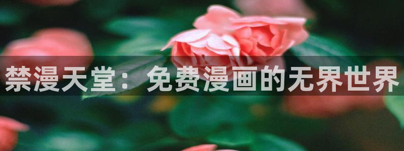 omofun电脑端