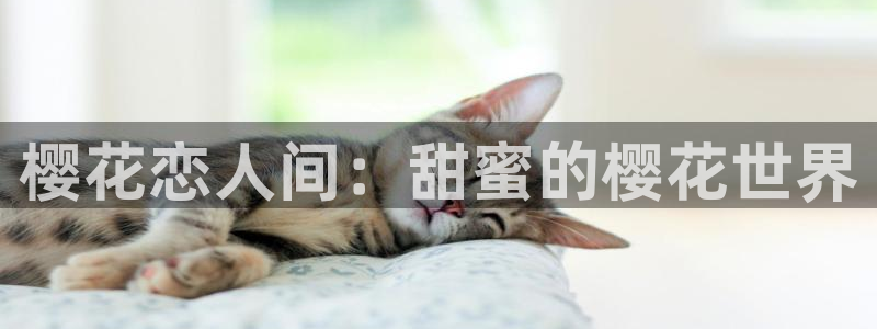 omofun下载官网入口