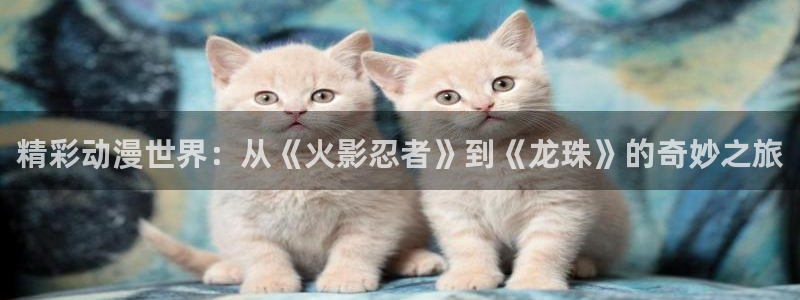 禁漫天堂入口下载最新版