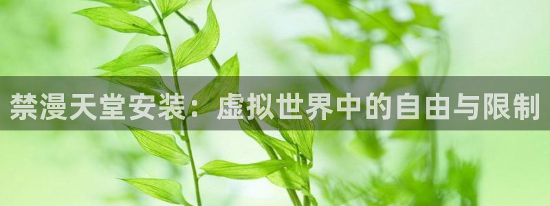 omofun 动漫在线观看