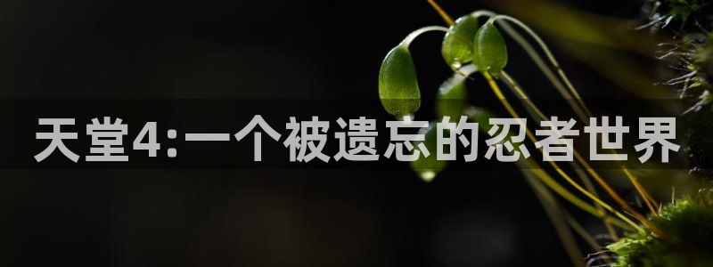 omofun更新