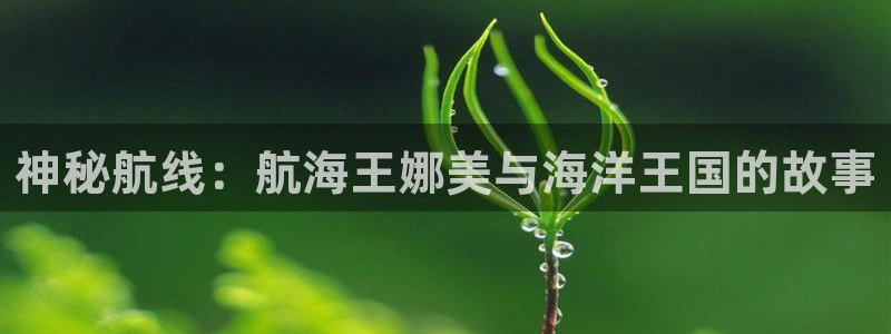 omofun纯净无广告版