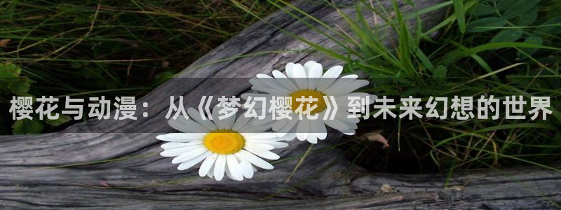 禁漫天堂网页版