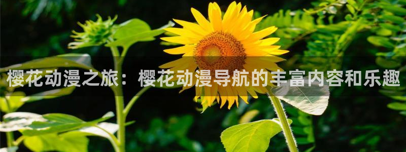 禁漫天堂地址下载