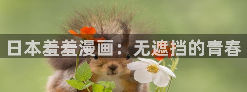 omofun动漫官网入口安卓