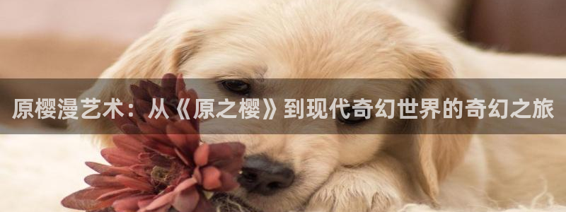 omofun网页版怎么没了