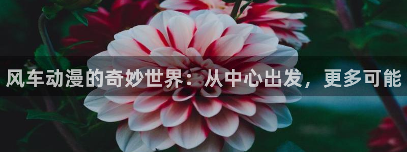 omofun动画网