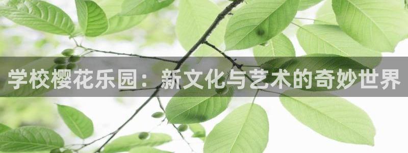 omofun动漫官网正版下载