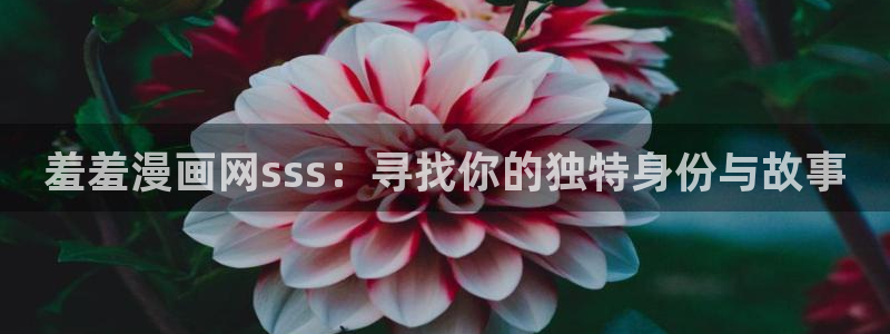 omofun电脑网页版
