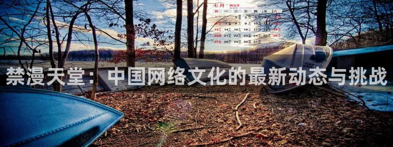 omofun安卓：禁漫天堂：中国网络文化的最新动态与挑战